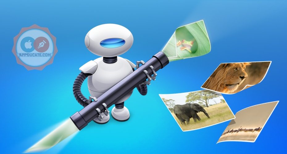 3 Ways to Easily Batch Resize Images with Automator